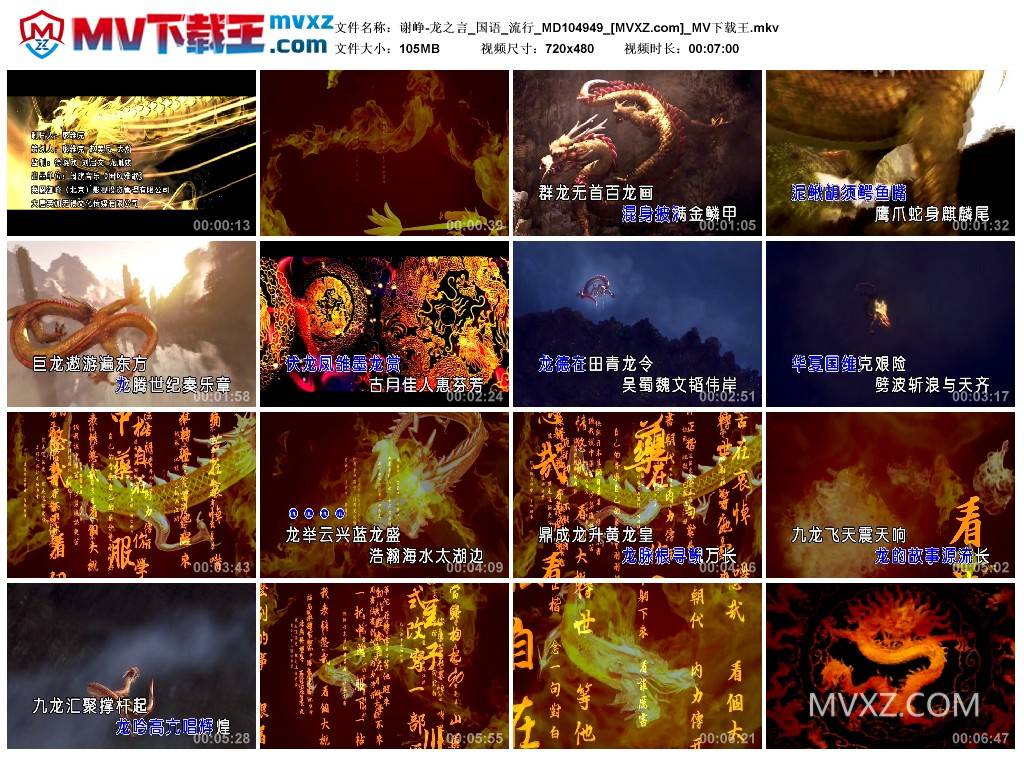 谢峥-龙之言_国语_流行_MD104949